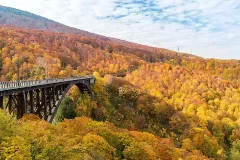 Pont au milieu des forêts d'Aomori en automne