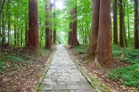 Le chemin de pélerinage du mont Haguro, Dewa Sanzan, Tohoku, Japan