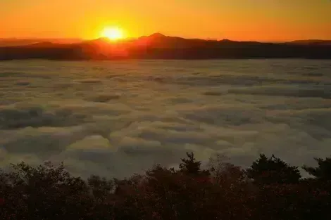 Mer de nuage au petit matin à Hokkaido