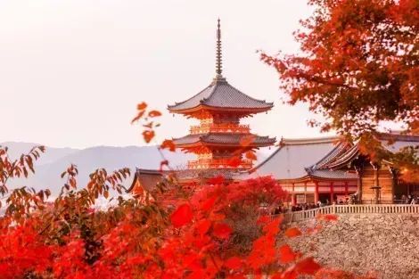 The Kiyomizu-dera in Kyoto during fall season