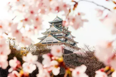 Le majestueux château d'Osaka au printemps