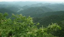 Mountains and greenary around Mt Mitake 