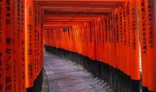 Les enfilades de torii (portiques sacrés) du sanctuaire Fushimi Inari à Kyoto