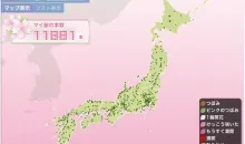 Cartographie de la floraison des fleurs de cerisier au Japon (hanami).