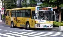 Japan Visitor - nishitetsubus2.jpg