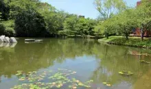 Japan Visitor - tsukuba-parks-3.jpg