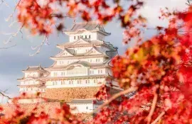 Le château d'Himeji, patrimoine mondial, sous les couleurs d'automne
