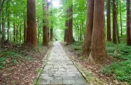 Le chemin de pélerinage du mont Haguro, Dewa Sanzan, Tohoku, Japan