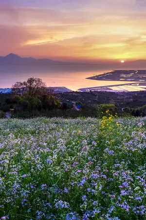 Campagne japonaise sur l'île de Kyushu au Japon, dans les environs de Kumamoto