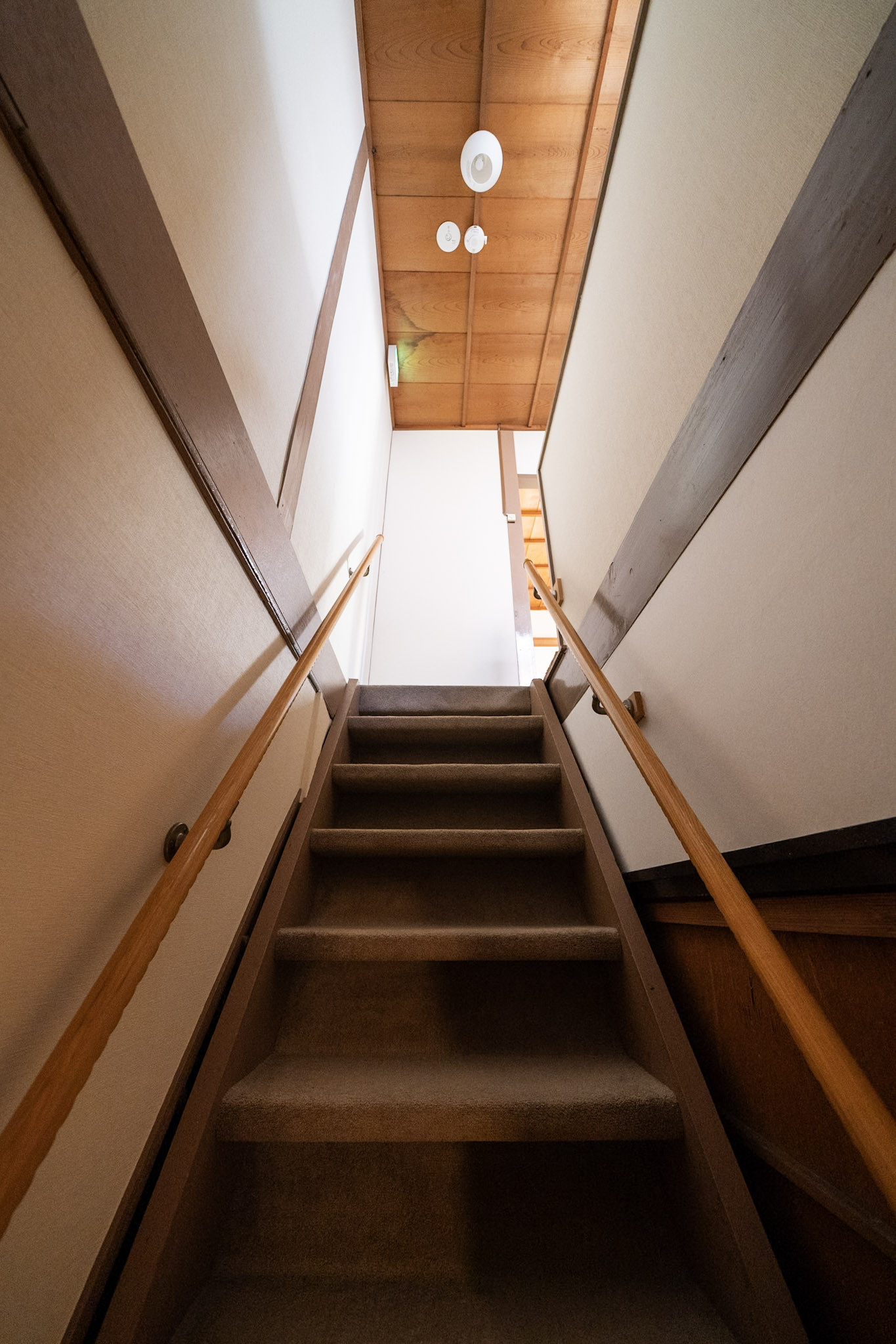 27-_DSC0199