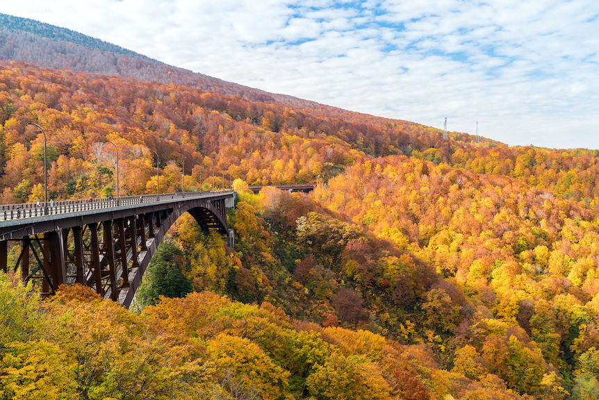 Bridge surrounded by autumn leaves, Aomori Bridge surrounded by autumn leaves, Aomori