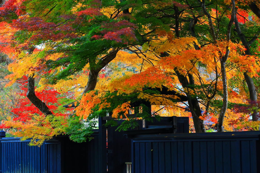 Kakunodate in Fall, Akita Kakunodate in Fall, Akita
