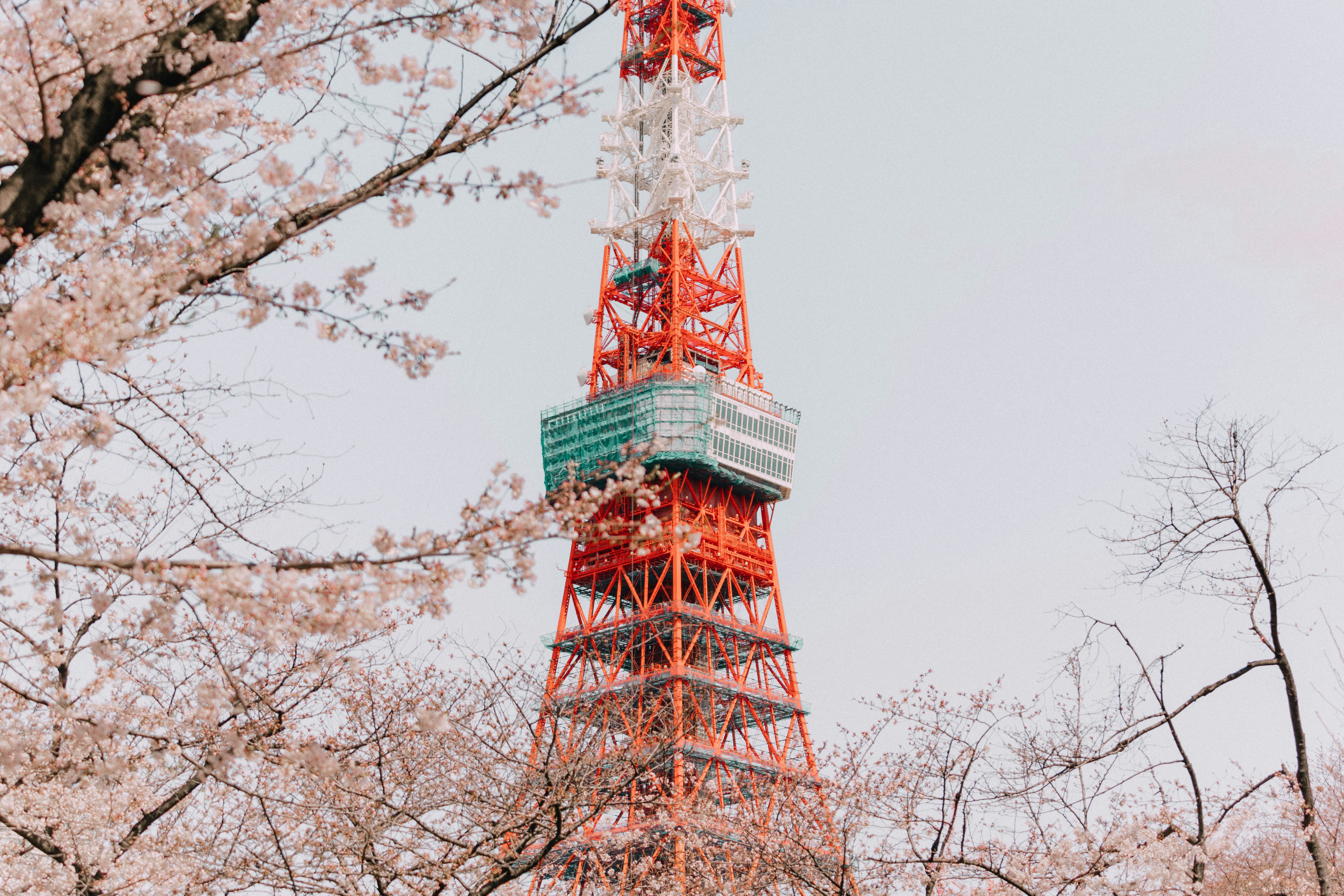 Tokyo Tower