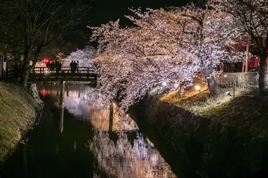 Matsumoto Stadt in der Nacht während der Kirschblüten