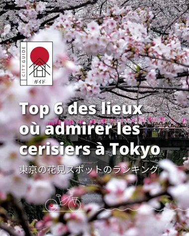 Top 6 des lieux où admirer les Sakura à Tokyo 