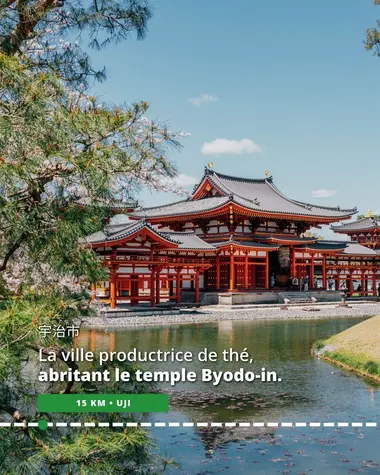 Uji, ville productrice de thé, abritant le temple Byodo-in