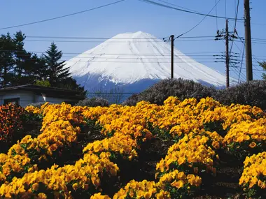 mont Fuji la kawaguchi