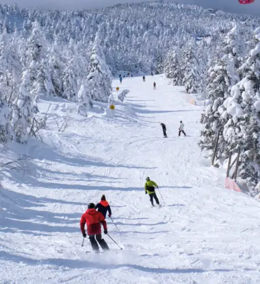 Piste skiable sur le mont Zao