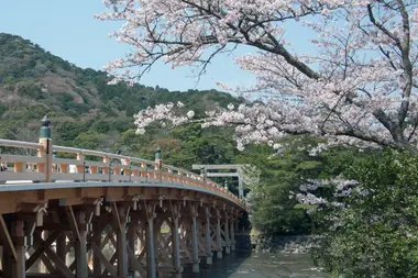 Uji-bashi bridge in Spring