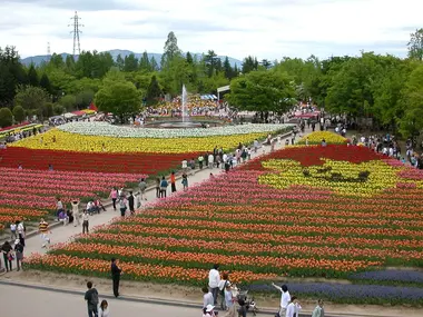 Tonami Tulip Park