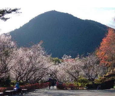 Le parc Jomine en automne