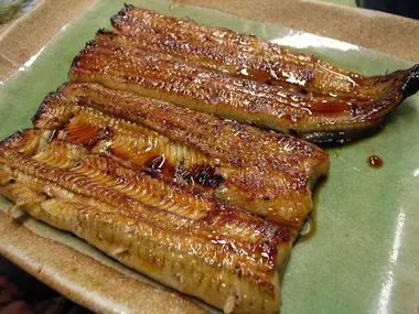 unagi