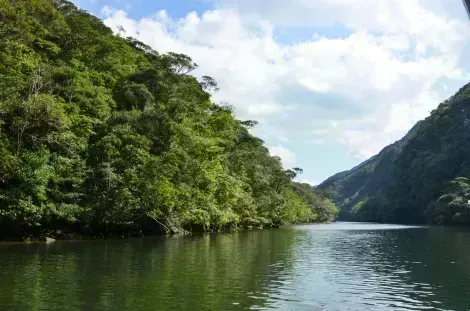 L'île d'Iriomote est un des derniers paradis pour la nature sauvage au Japon