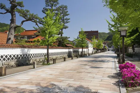 El pueblo tradicional de Tsuwano con sus árboles de ginkgo