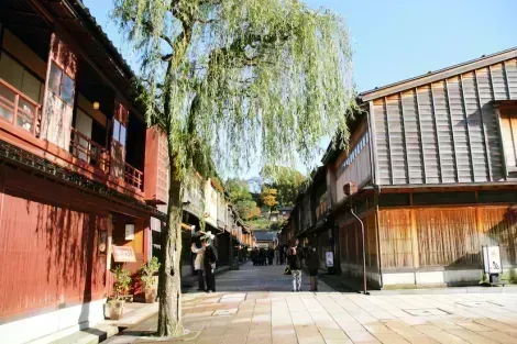 Le quartier des geishas de Kanazawa vous invite à une promenade hors du temps, parmi ses ruelles anciennes.