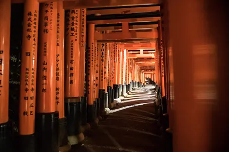 Visite Fushimi Inari, uno de los santuarios más famosos de Kioto