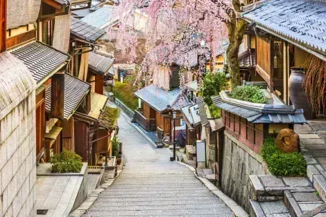 Le quartier de Gion et ses vieilles ruelles durant les cerisiers en fleurs : une visite à faire à Kyoto
