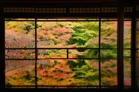 Templo de Ruriko-in en Kioto: un lugar para visitar para experimentar los magníficos colores del otoño