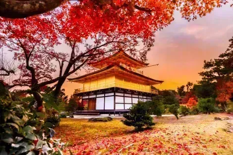 Golden Pavilion Kinkaku-ji: a must-see in Kyoto ancient capital