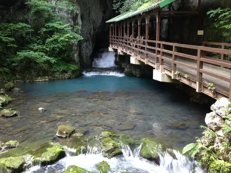 Entrance to Akiyoshido Cave Entrance to Akiyoshido Cave