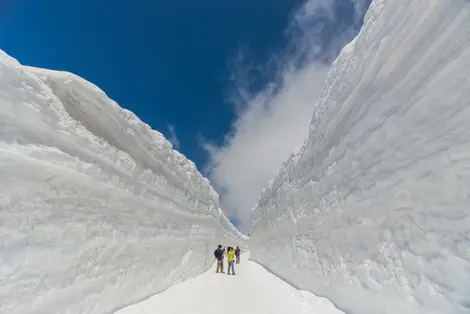 Les Murs de Neige de Tateyama-Kurobe