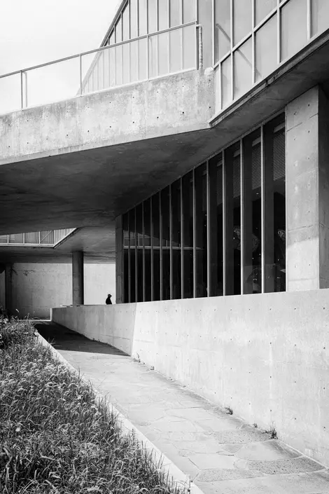 L'architecture de Tadao Ando