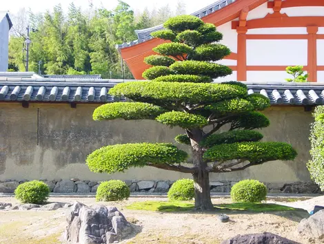 Jardín del Rito del templo Horyuji.