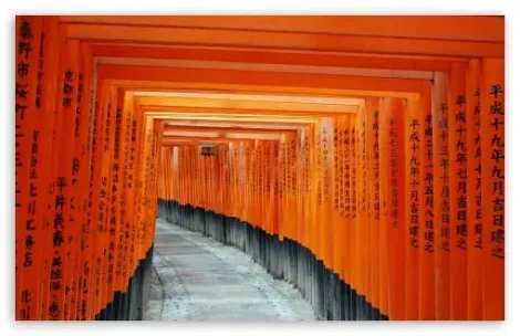 Torii du Fushimi Inari Taisha