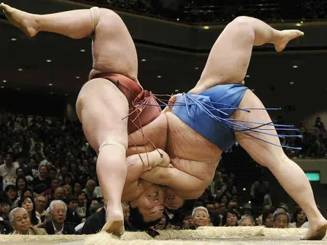 Les combats de sumo peuvent être renversants. 