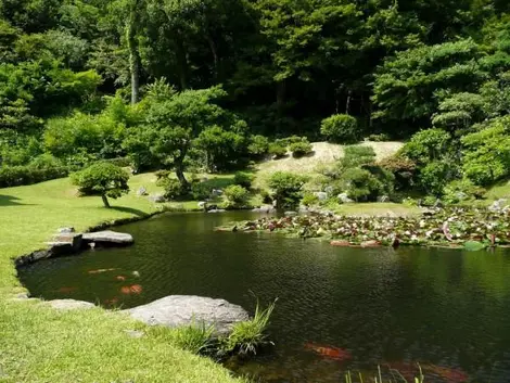 Le jardin du Kannon-in