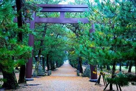 La vía central para llegar al Izumo Taisha está reservada a los kami, si la usas es a tu propio riesgo.