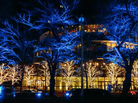 Les illuminations de Tokyo Midtown