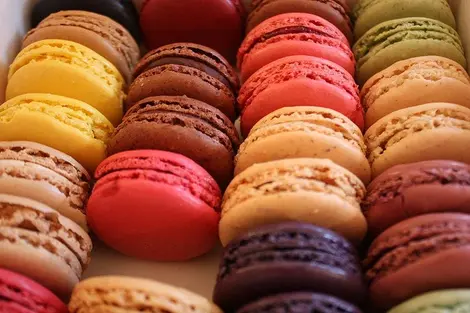 macaron