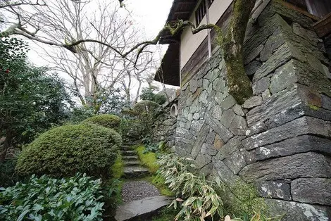 L'étonnante façade de la villa d'où un arbre sort.