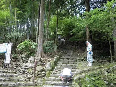 Des pèlerins arrivent et repartent du Seiganto-ji par le chemin Kumano Kodo.