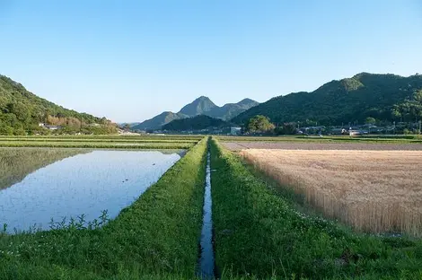 Un paysage typique du concept de Satoyama.