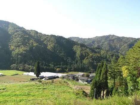 Vue sur la campagne japonaise.