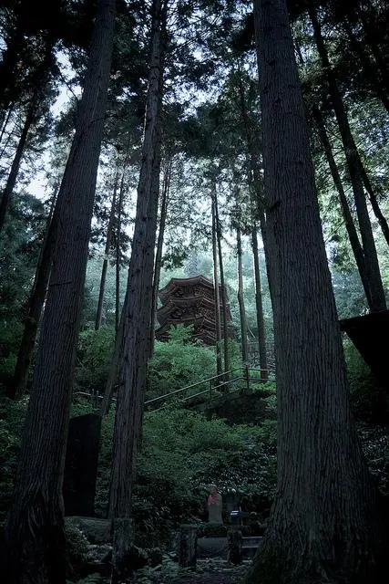 La pagode du temple Anrakuji à Bessho Onsen, depuis les bois autour du temple.