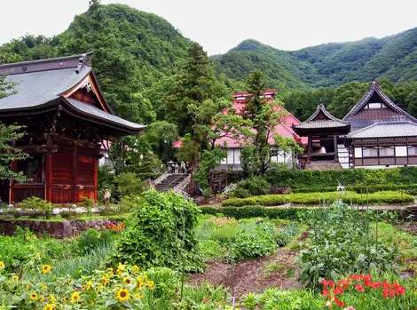 Le temple Ganshô-in et son jardin de fleurs