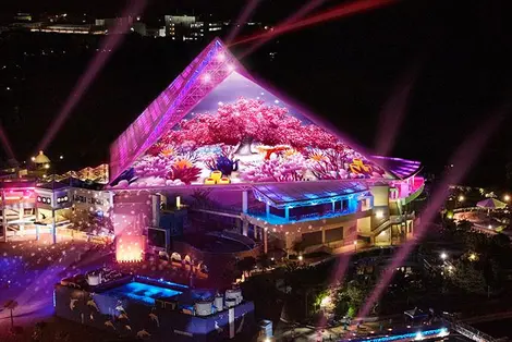 Spectacle nocture sur le toit de l'Aqua Museum du Yokohama Kakkeijima Sea Paradise. 